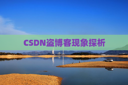 CSDN盗博客现象探析